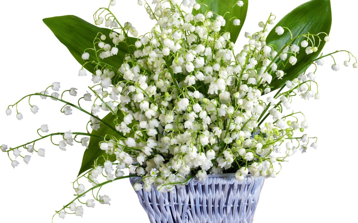 Цветы в вазе