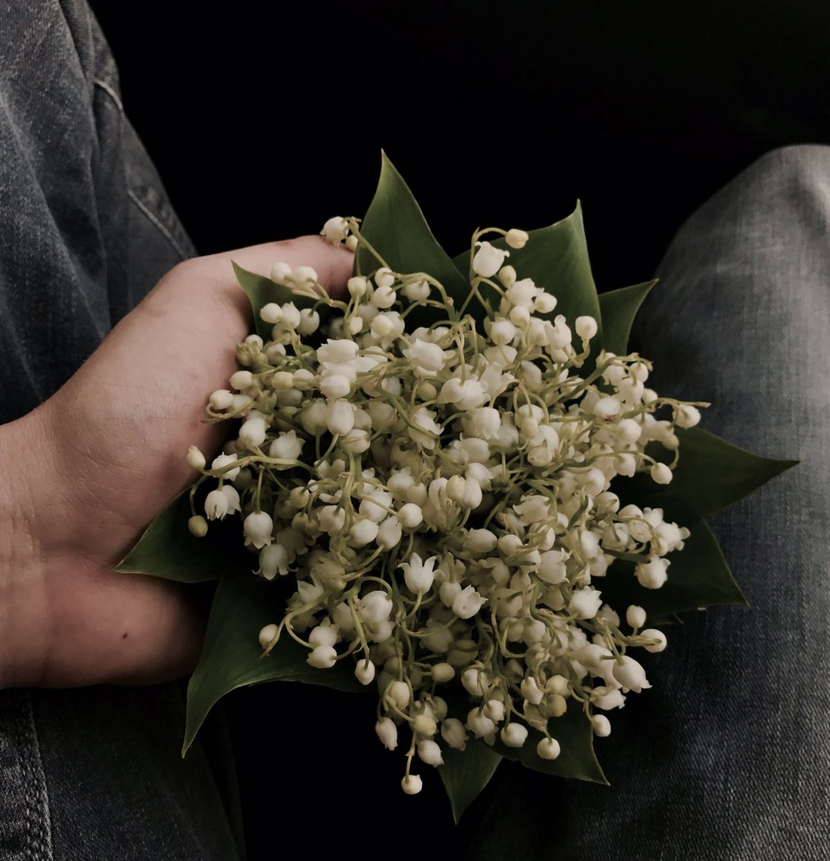 Пастернак Ландыши