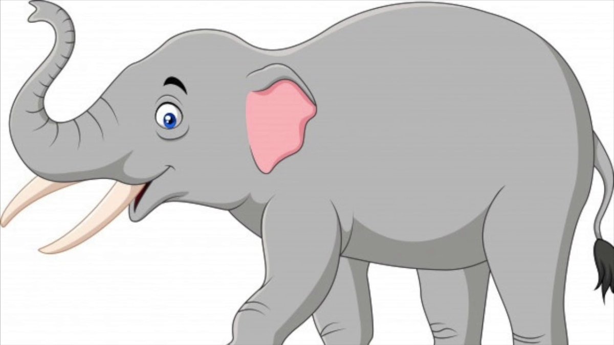 Слон мультяшный на белом фоне