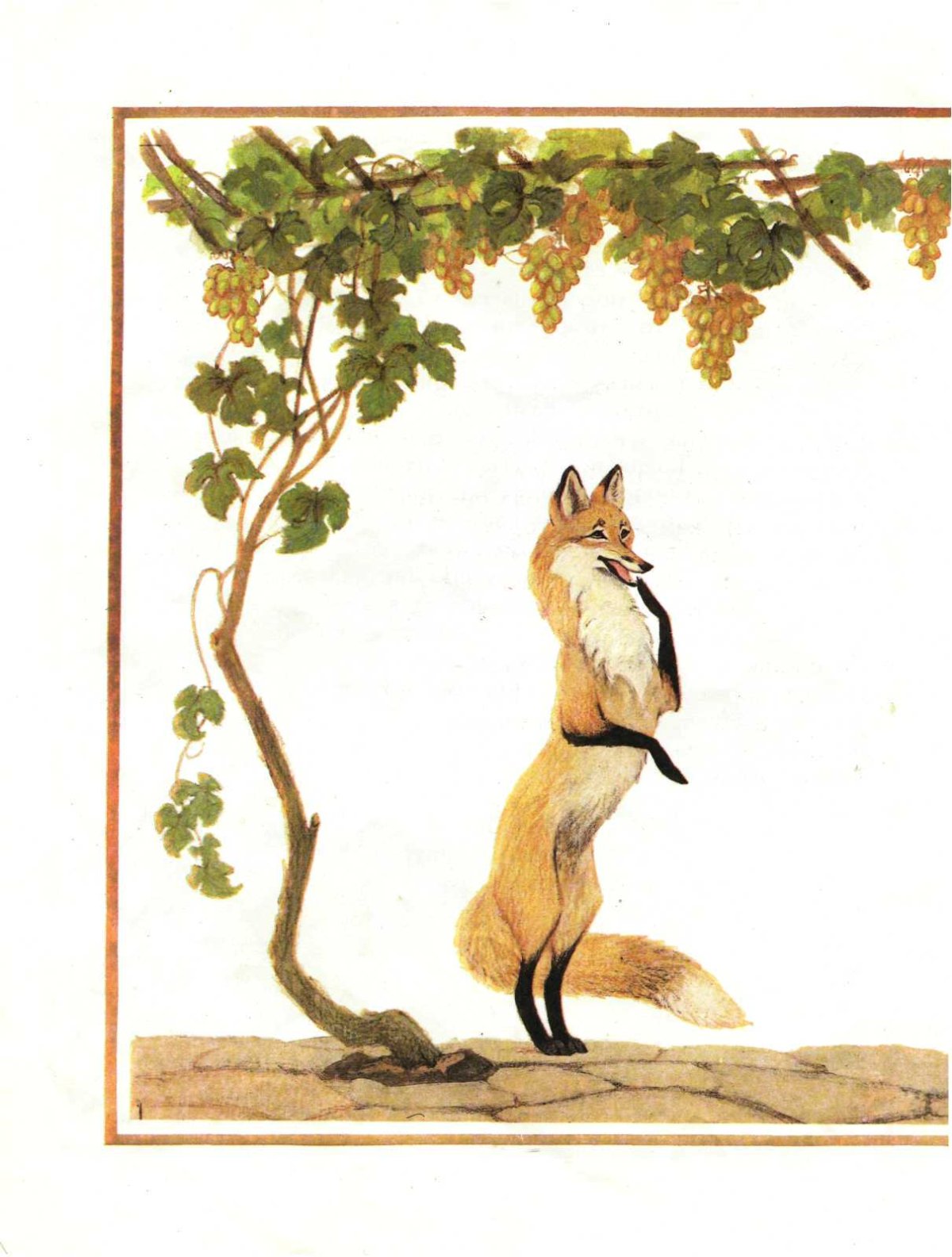 Крылов лиса и виноград