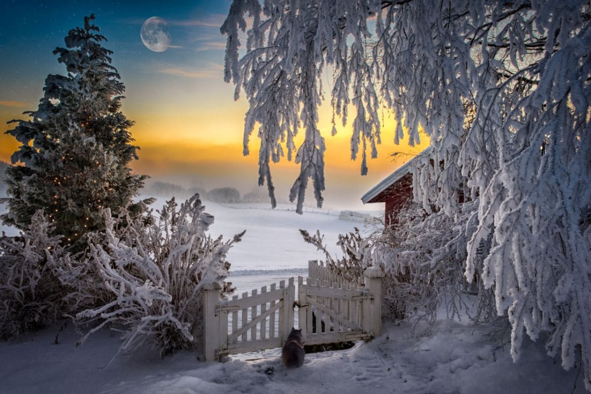 Приятного зимнего вечера