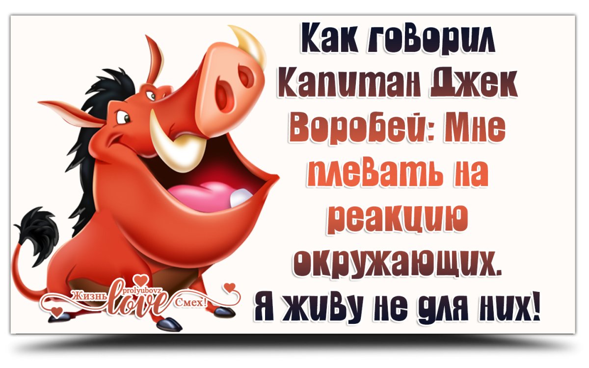 Спокойной ночи прикольные