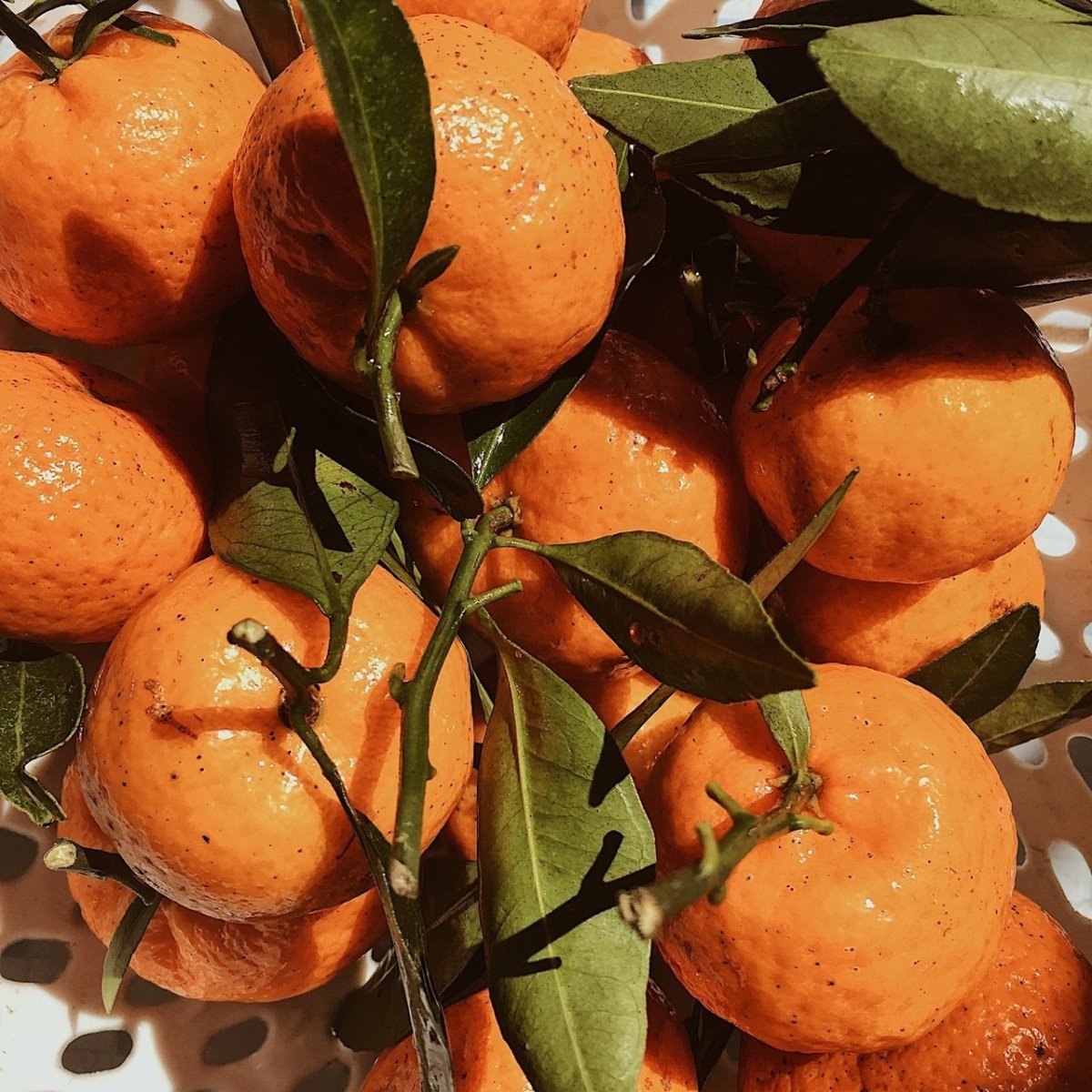 Манадрины Микхал