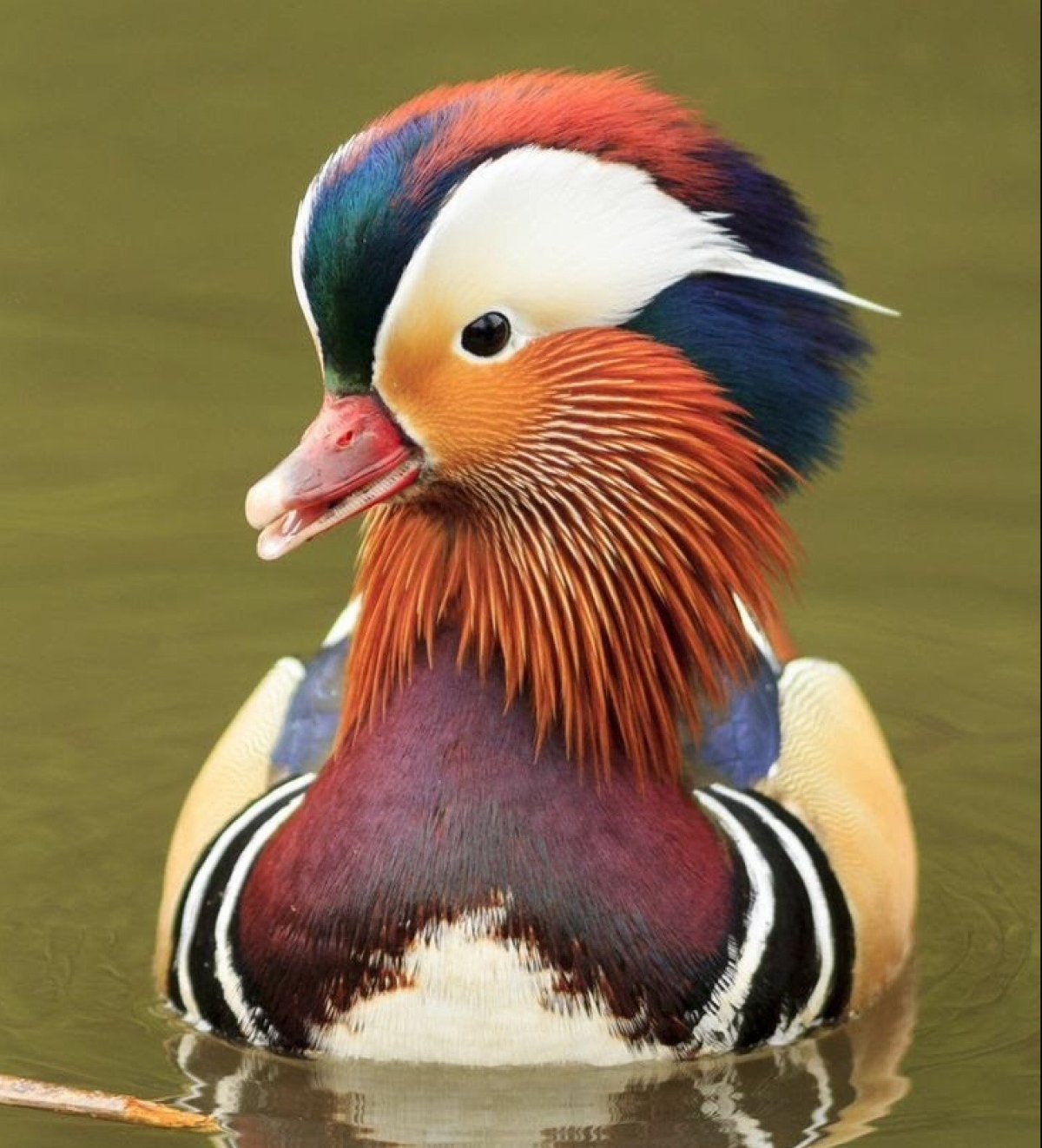 Апельсиновое утро