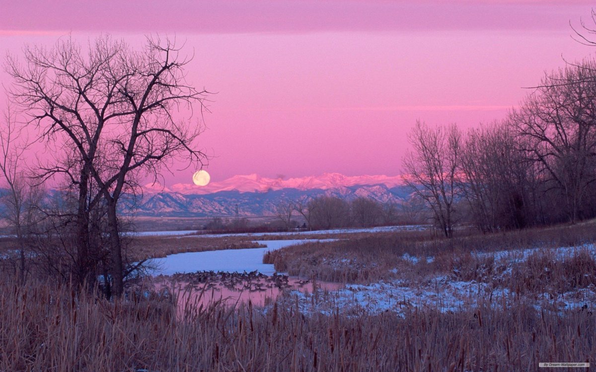 Пейзаж в розовых тонах