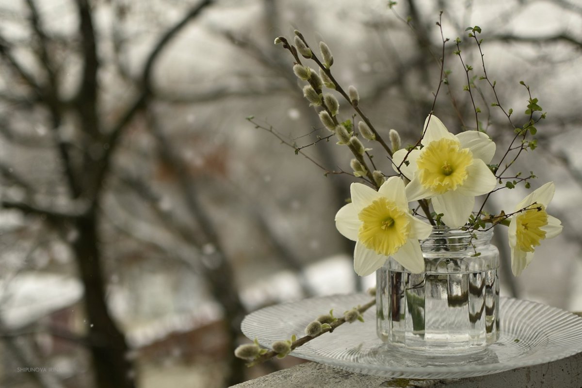 Весна грусть