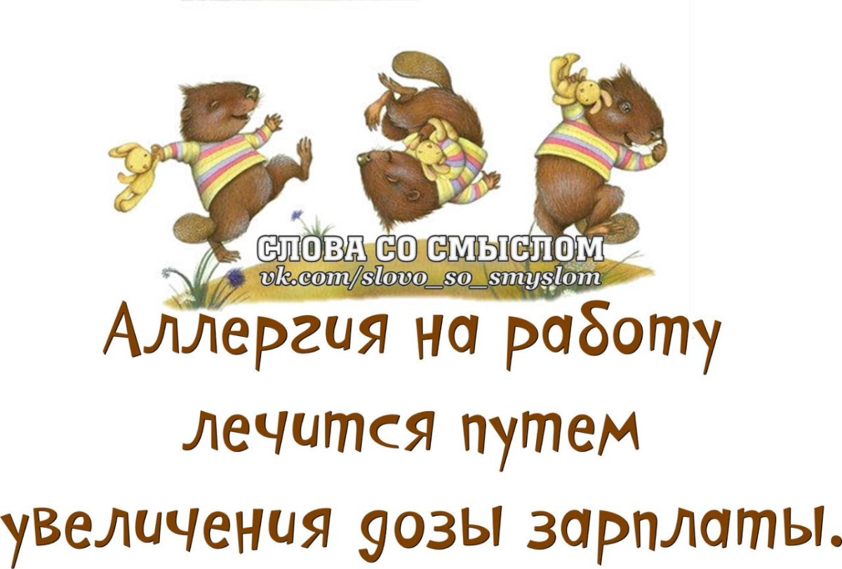 Вторник картинки смешные