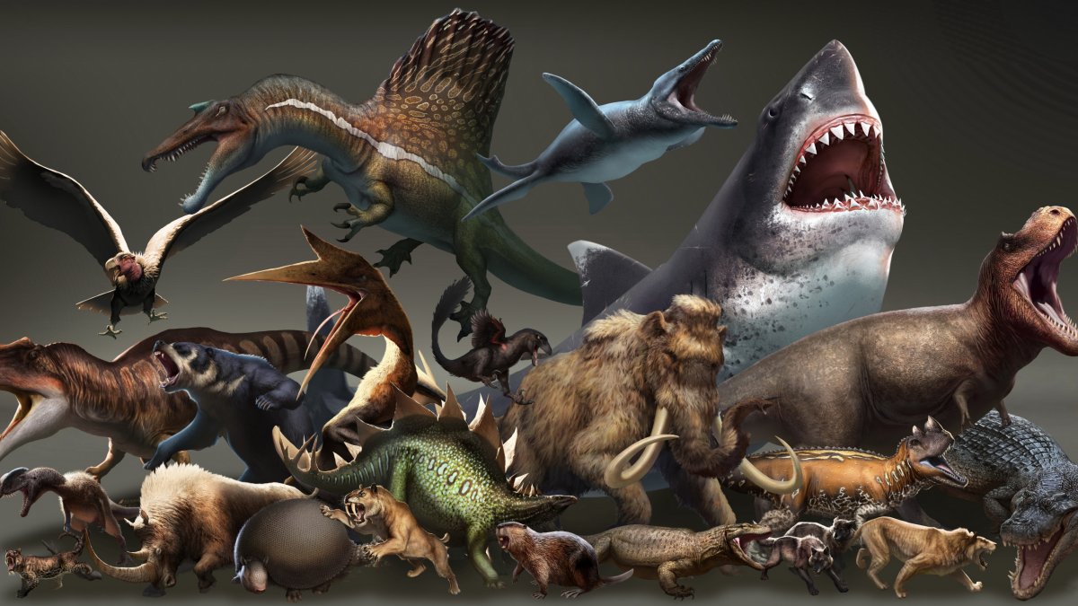 Сражение динозавров