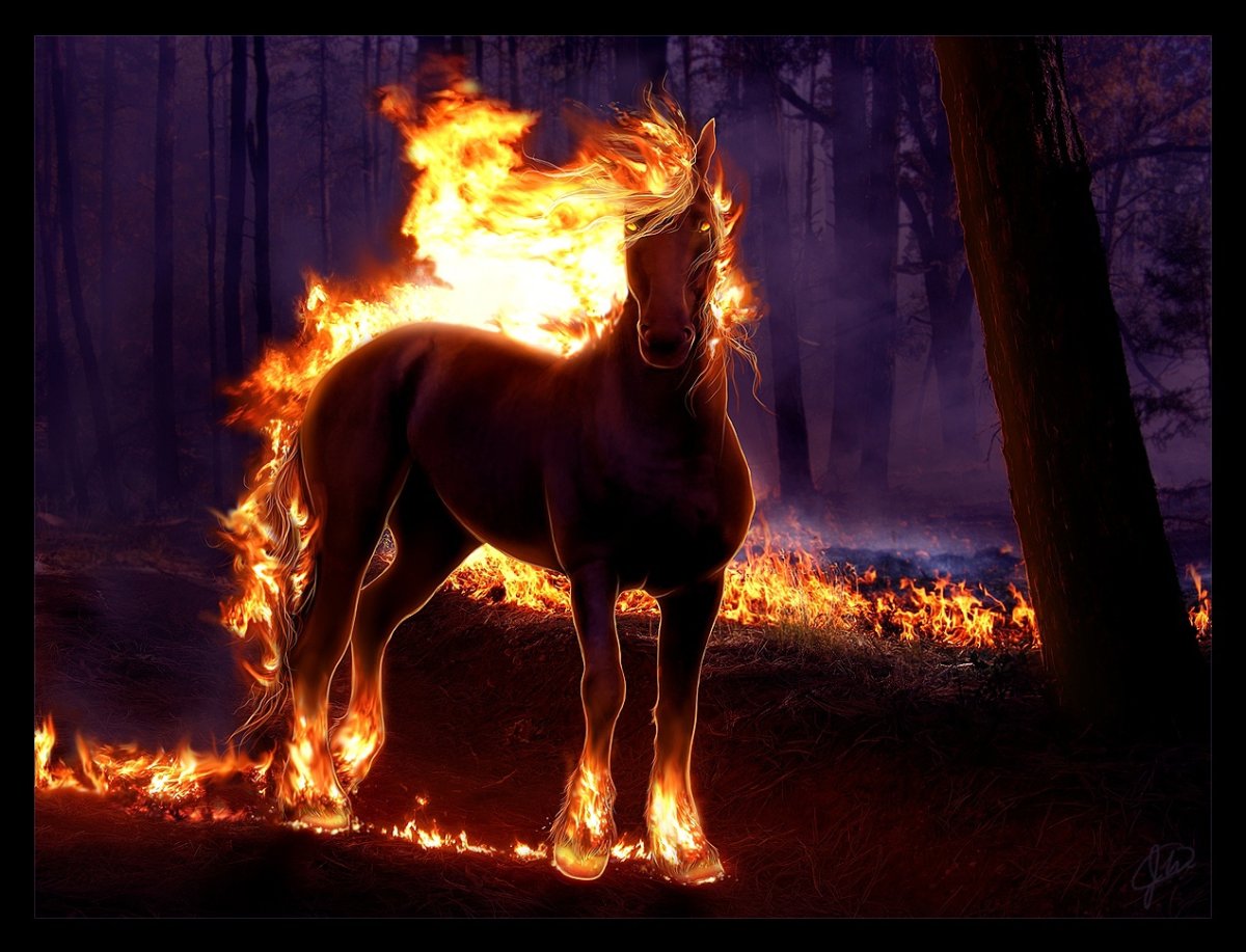 Огненная лошадь