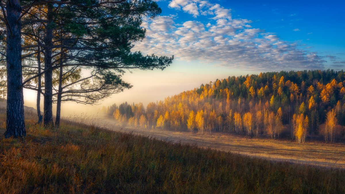 Осенний перелесок
