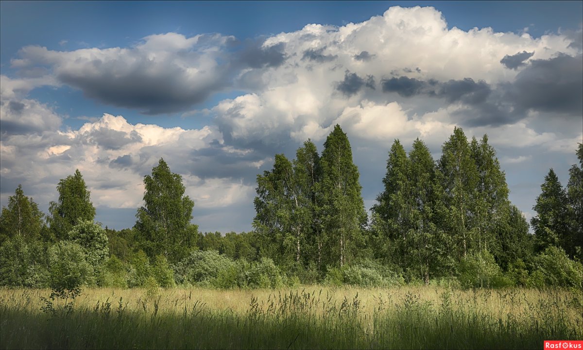 Ранняя осень поле