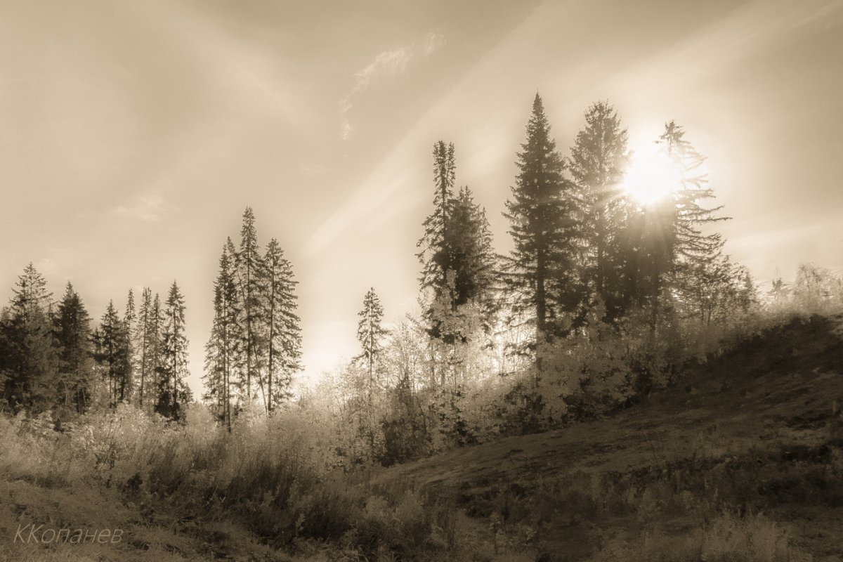 Север Гансовский тропинка в поле