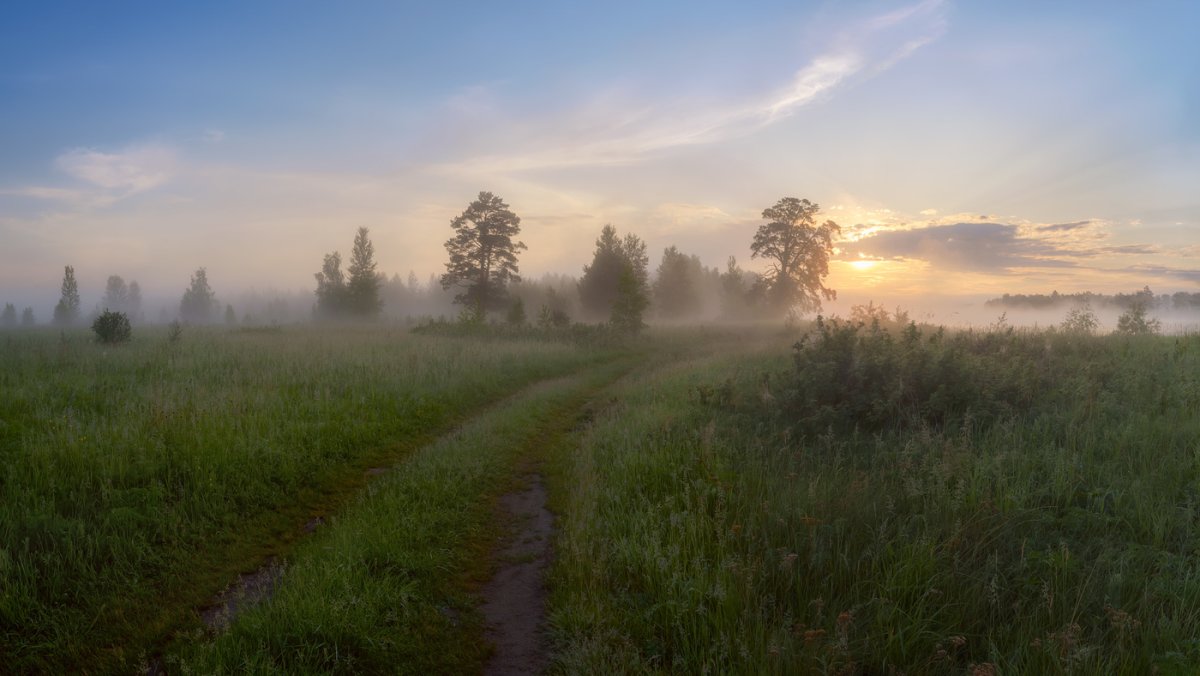 Карпаты девушки