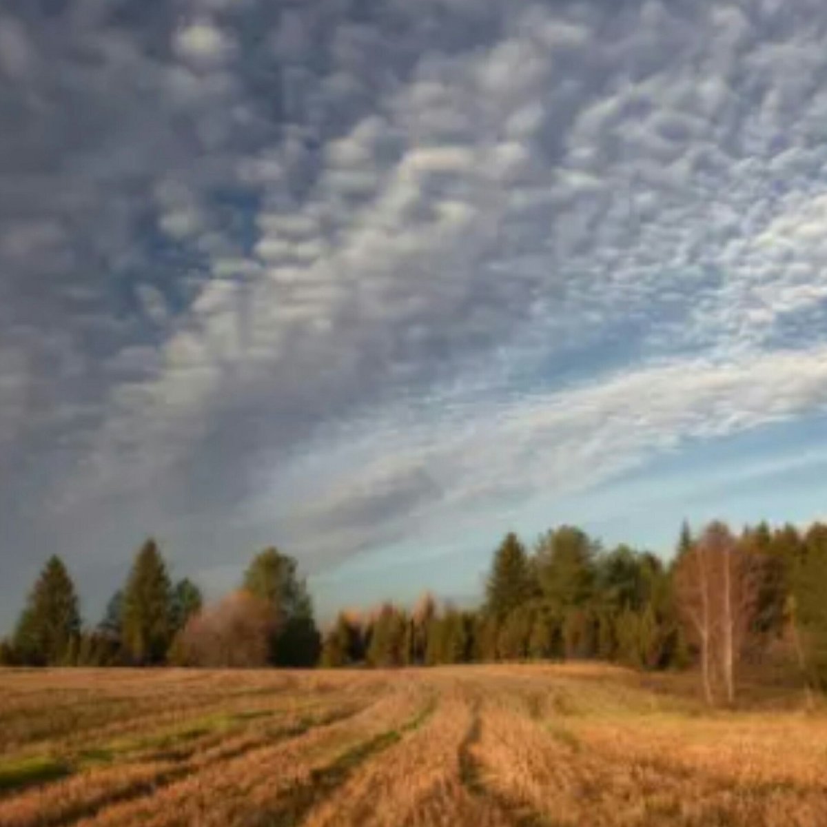 Пасмурное небо осень