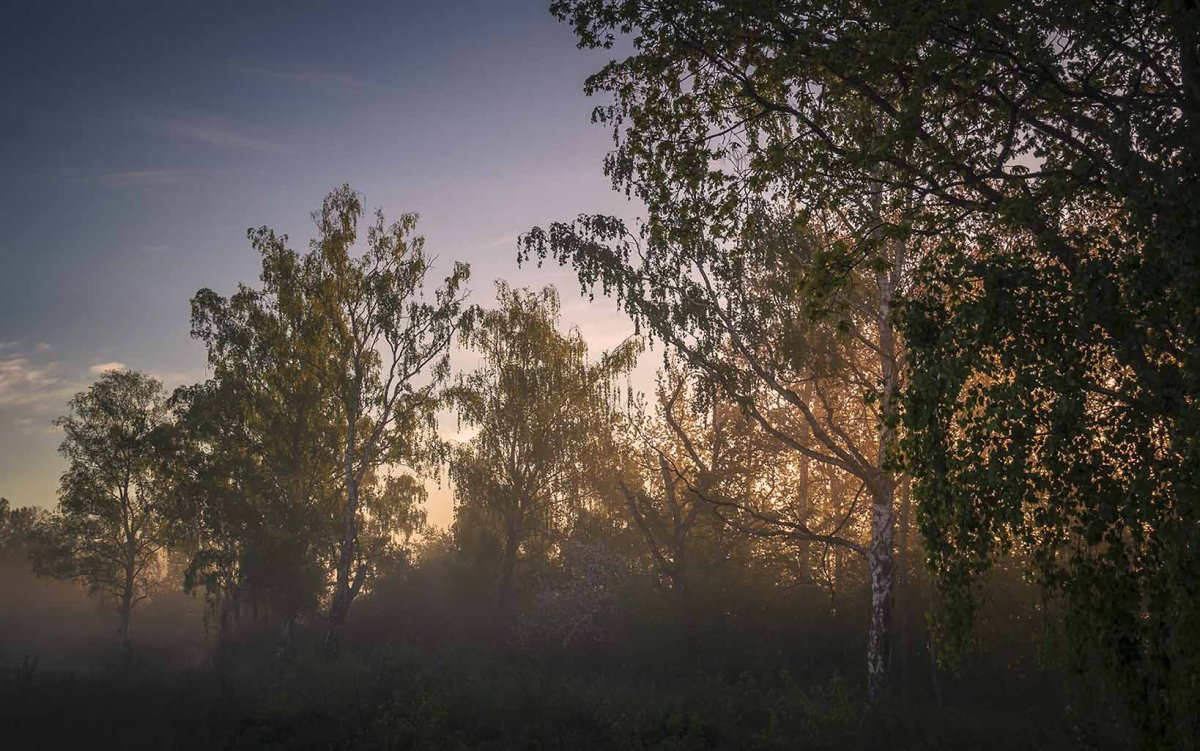 Дмитрий Репин художник