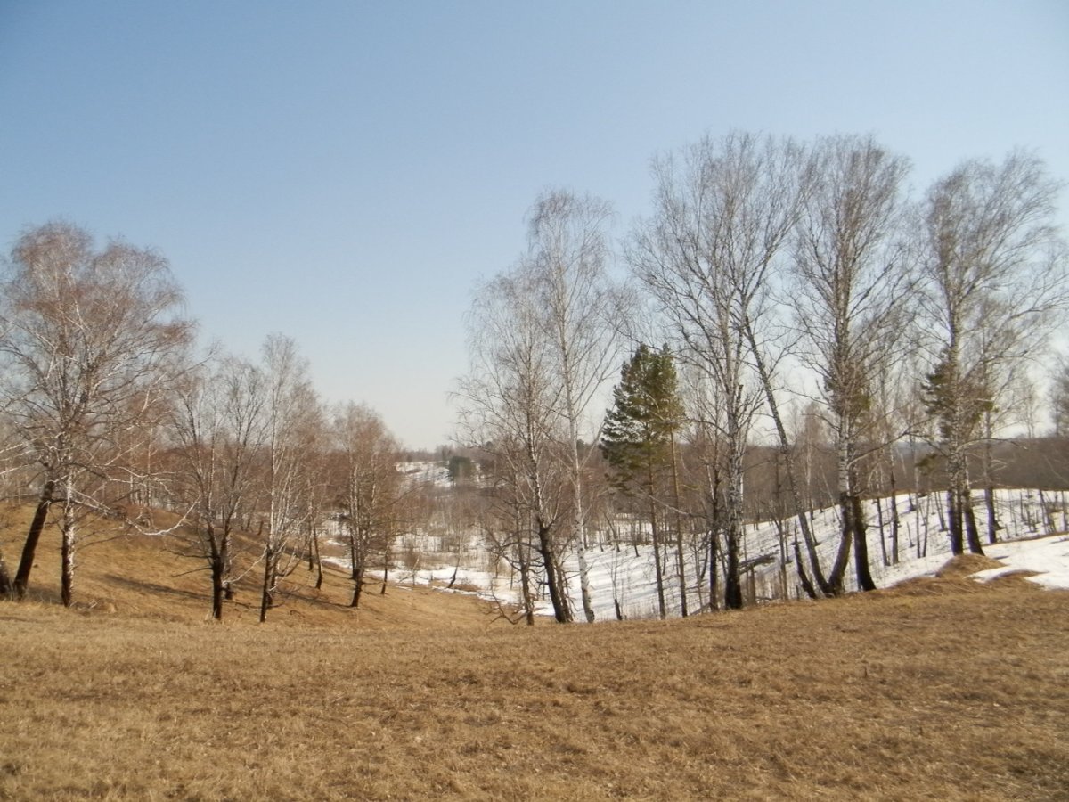 Россия Проселочная дорога