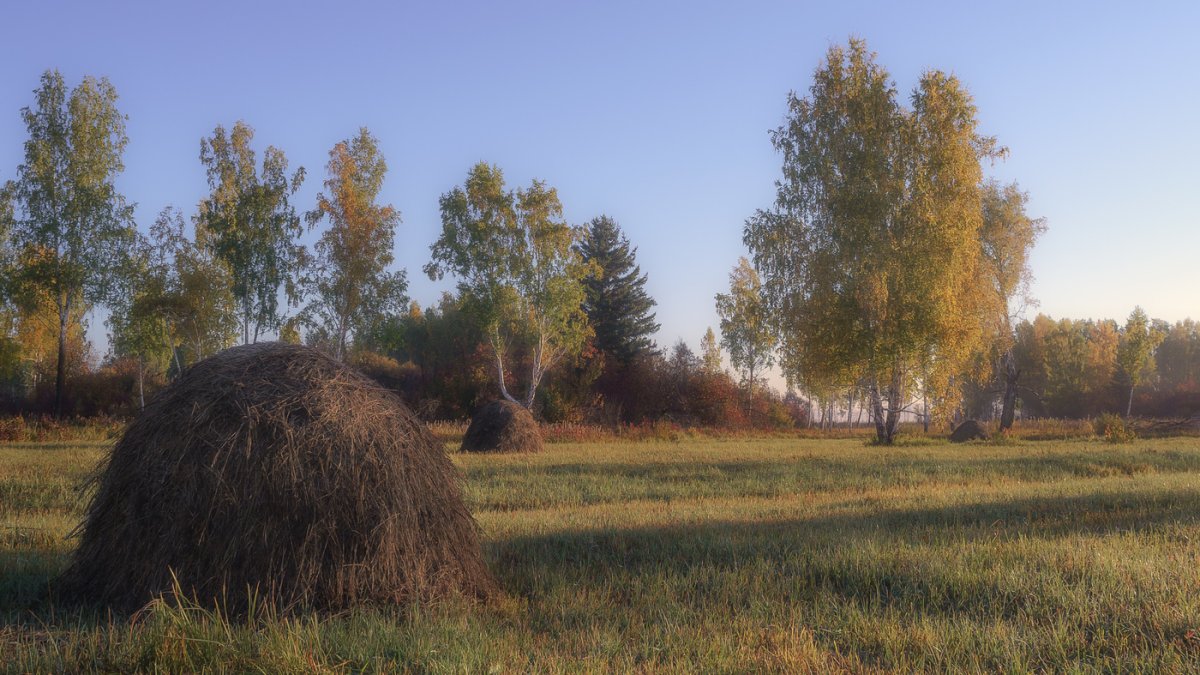 Деревенские просторы. Художник Сергей Курицын - картины