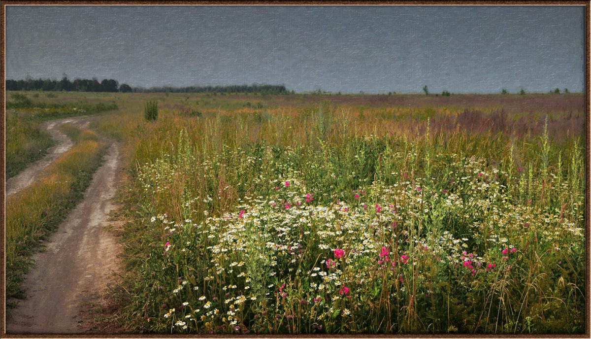 Фотография перелесок