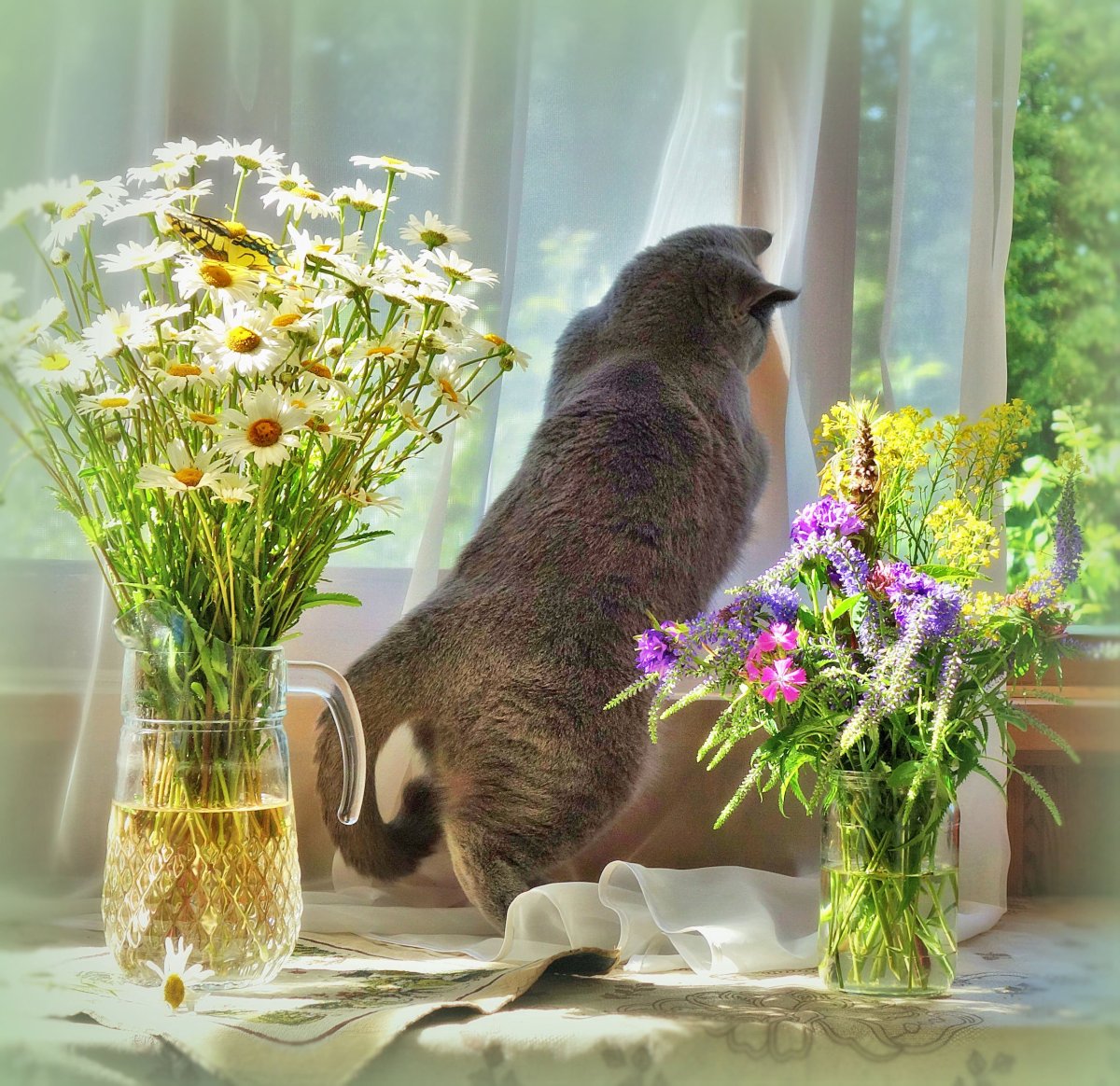 Летнее утро доброе в окошко