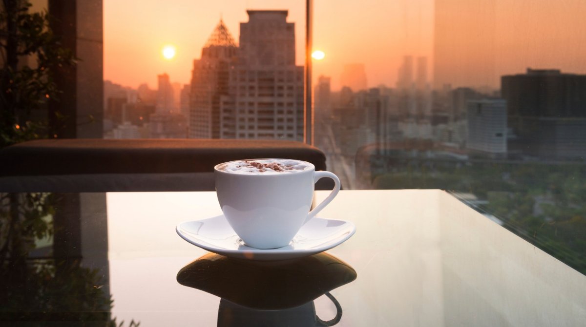 Ромашковое поле за окном