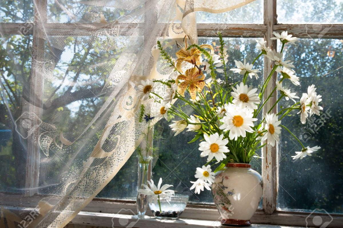 Утро сентября