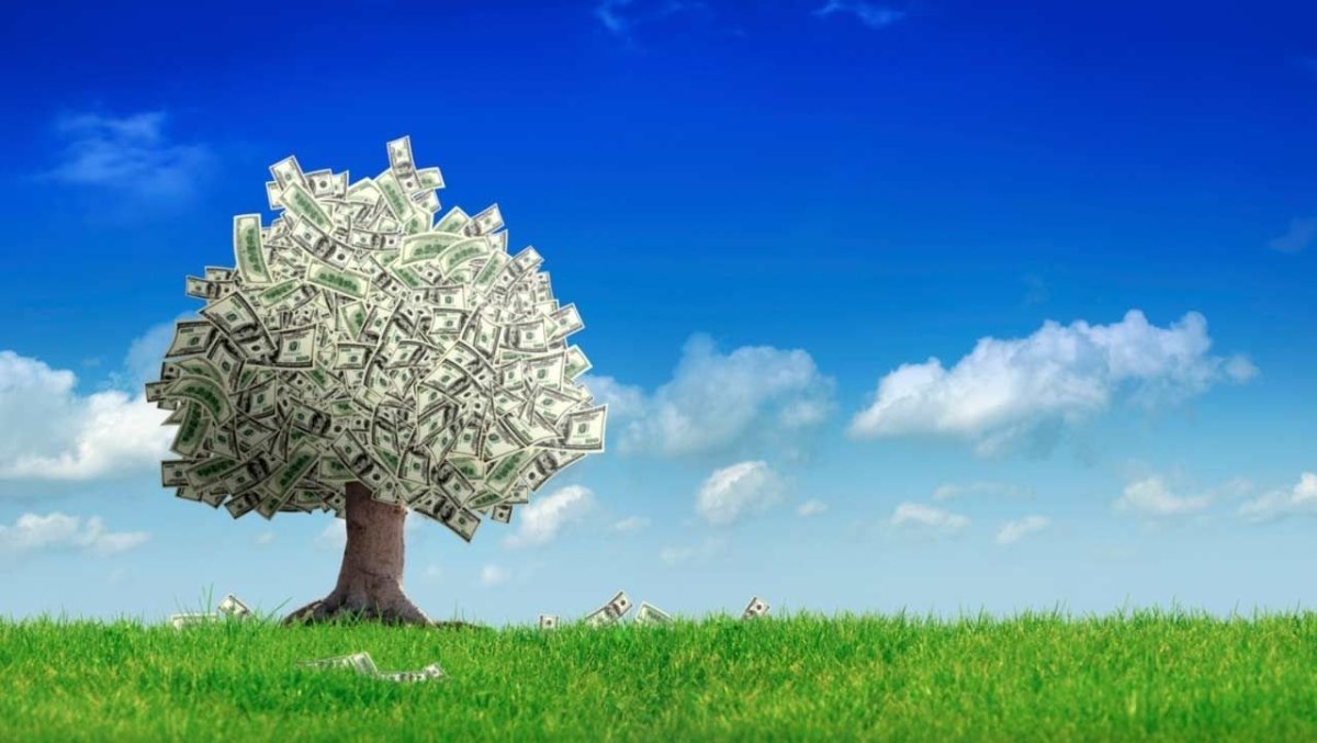 Деньги и природа