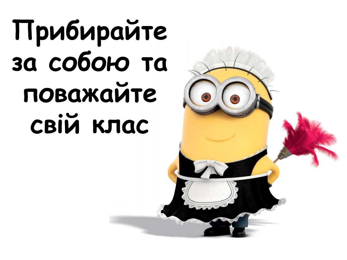 Миньон дурак