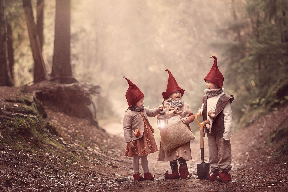 Красивые Гномы