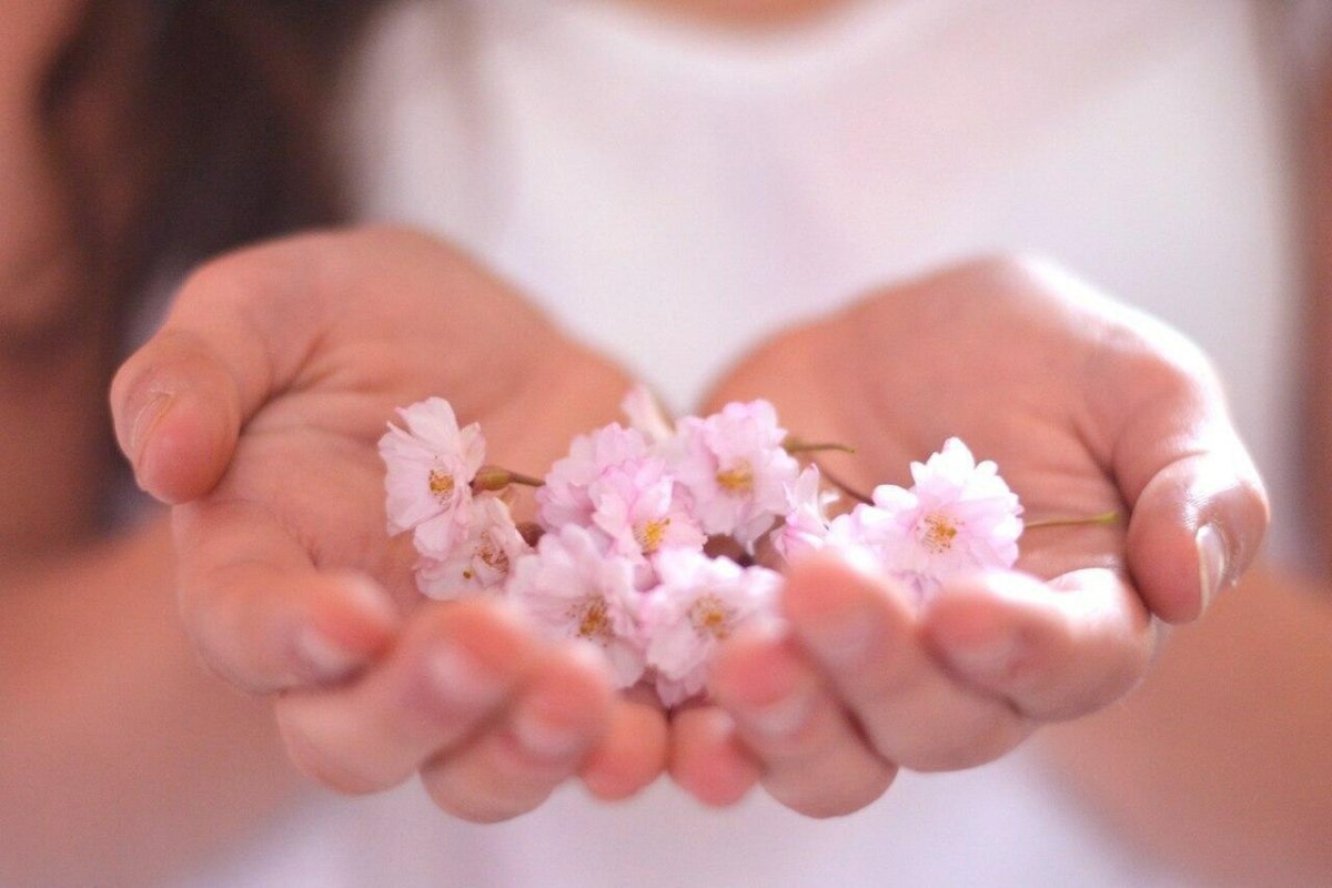 Нежные цветы в руках