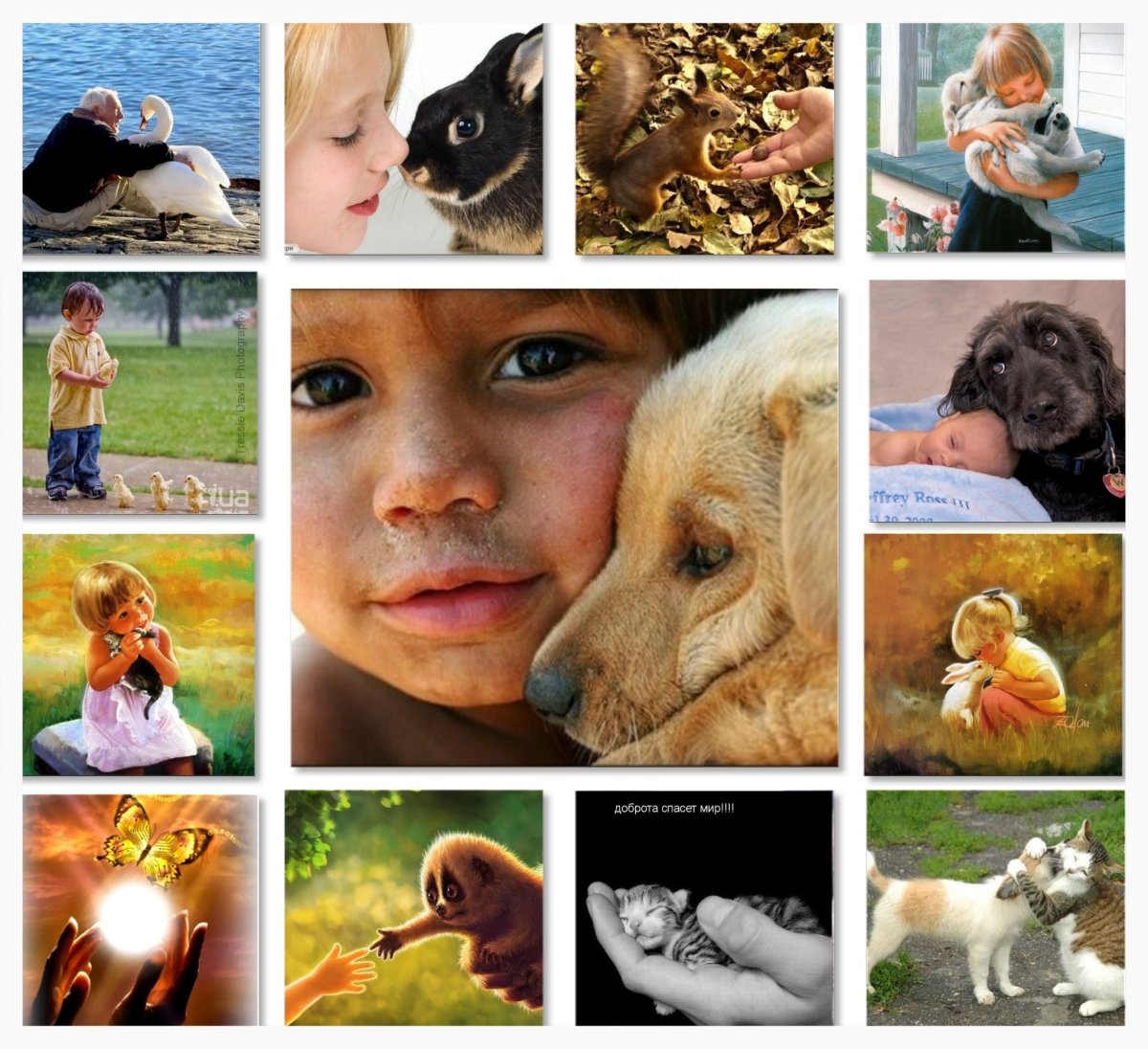 Проявление доброты