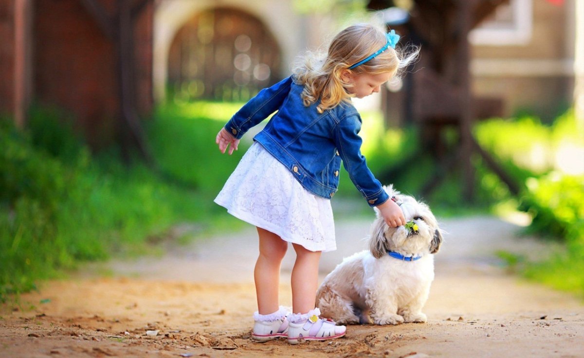 Доброта позитив