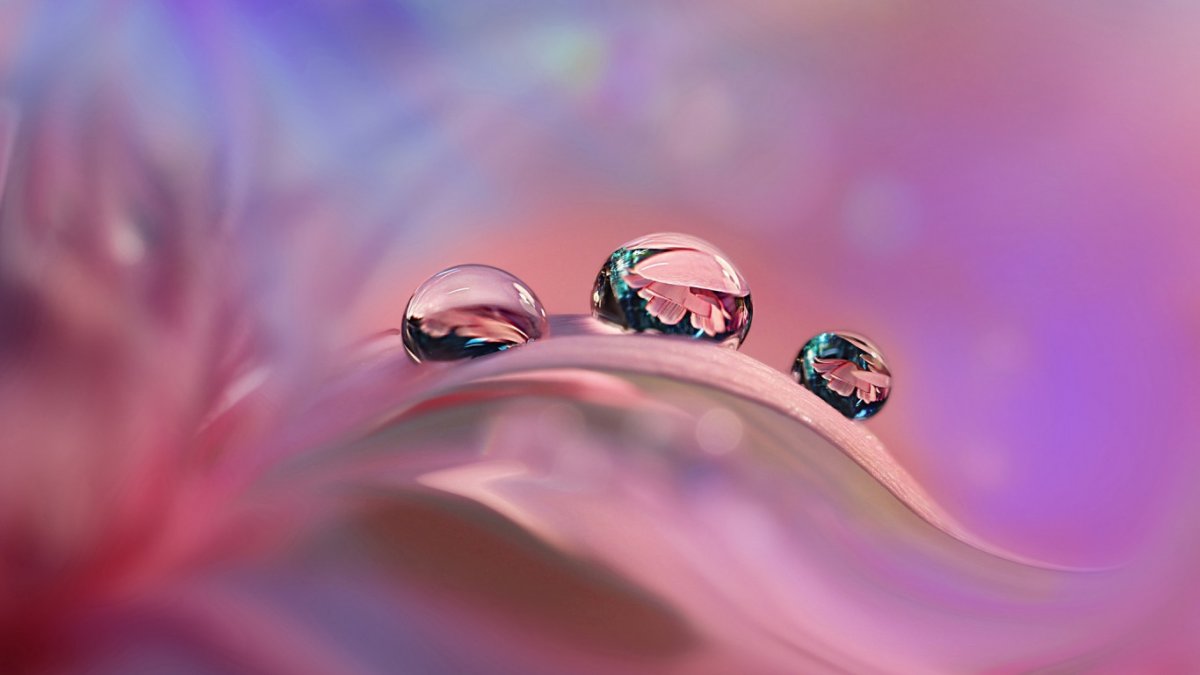 Заставка на рабочий стол розовая