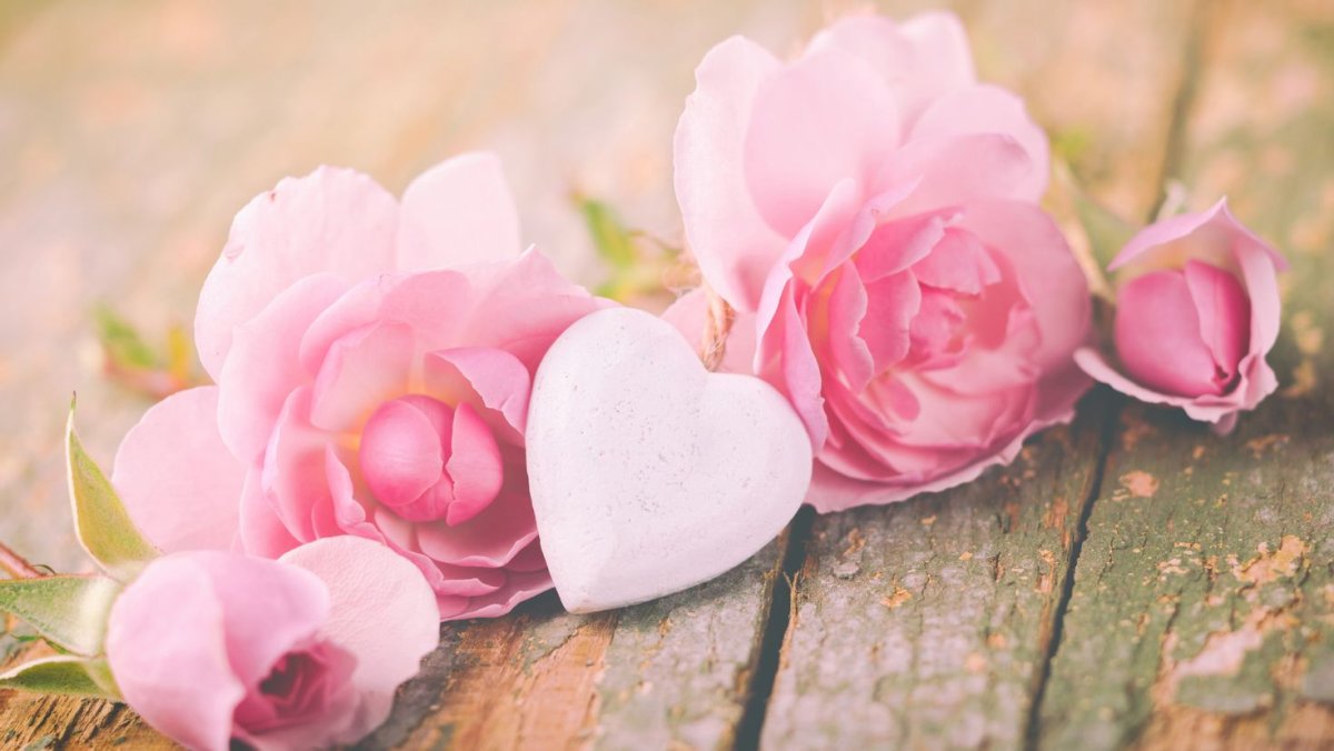 Нежный цветок