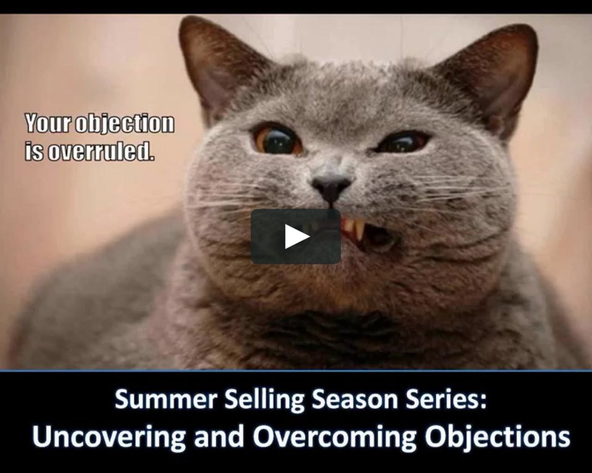 Злые британские коты