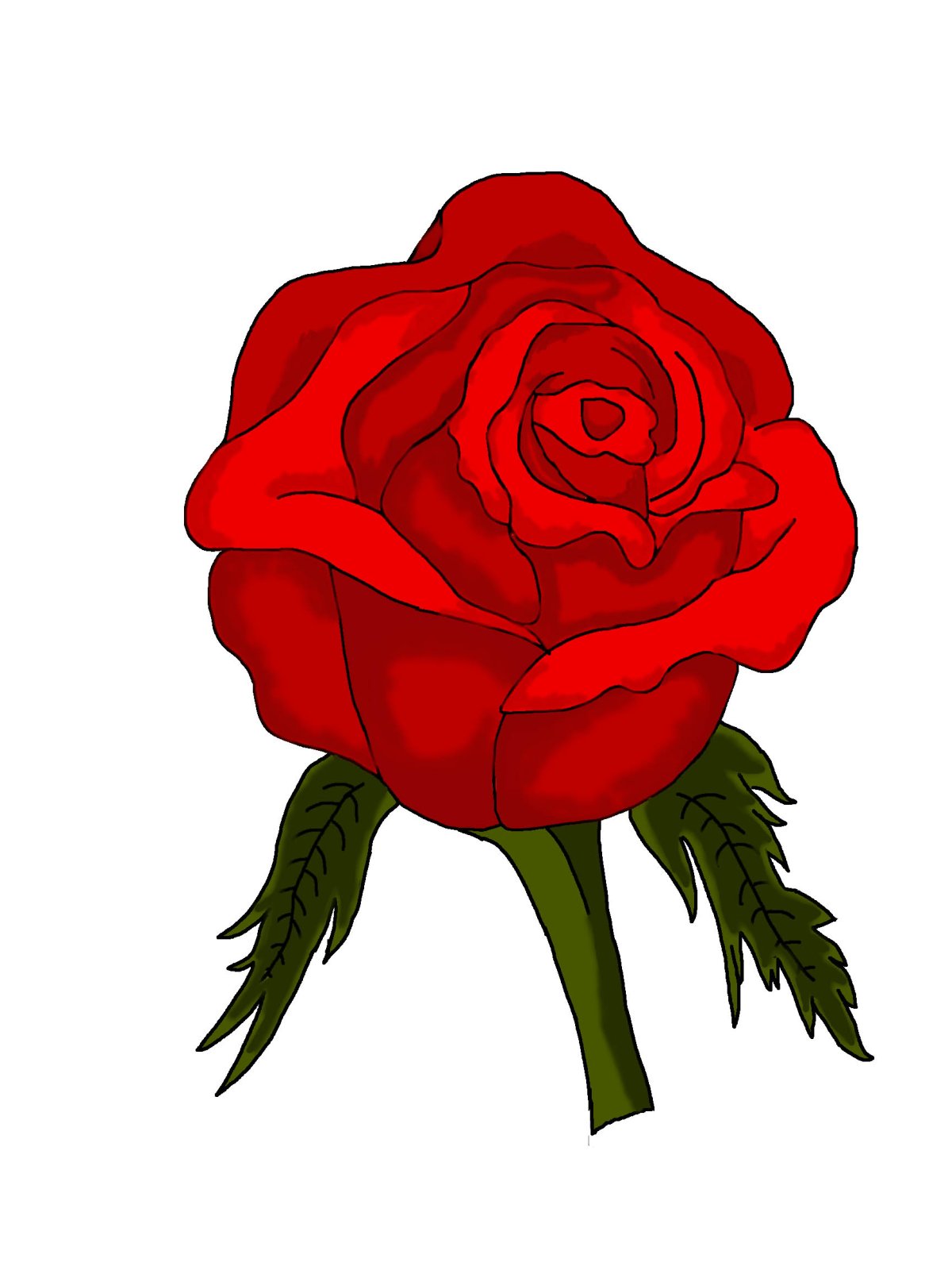 Роза рисунок