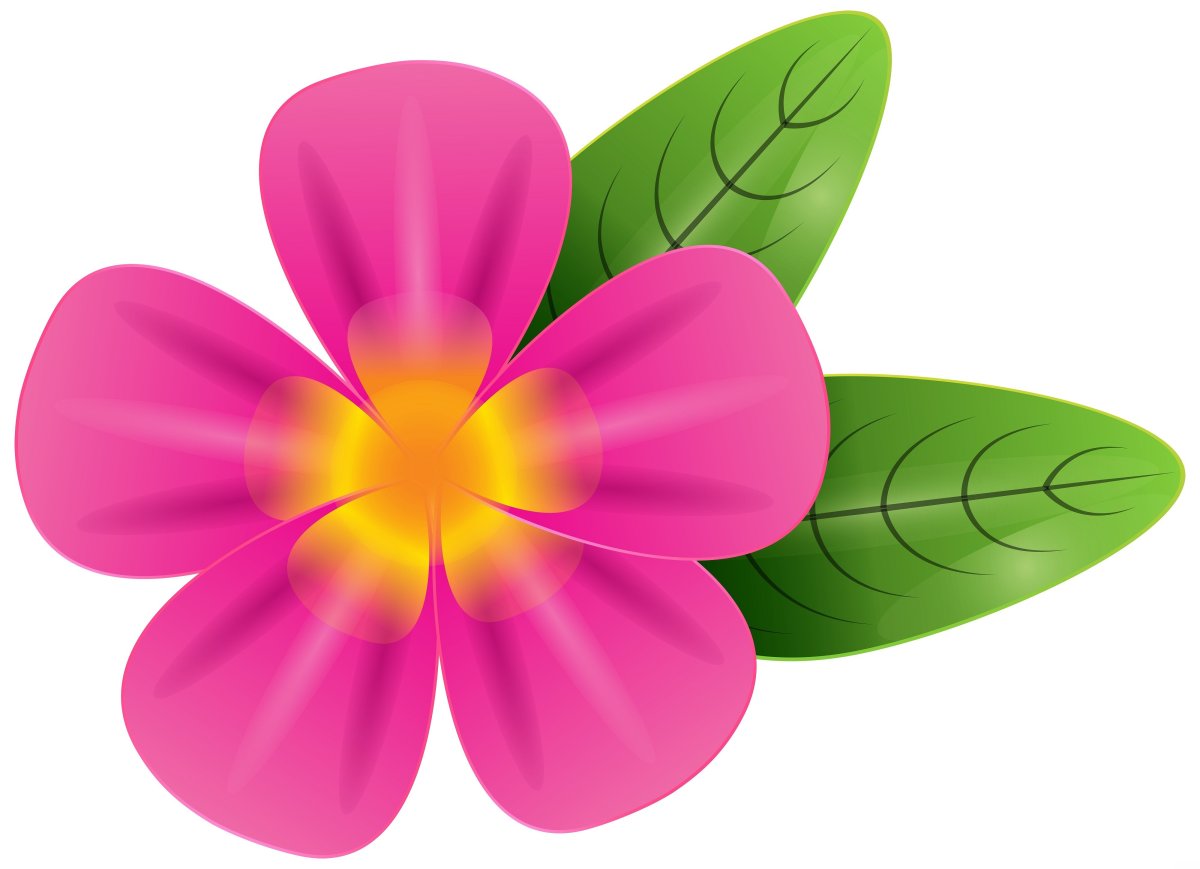 Цветочки цветные для детей