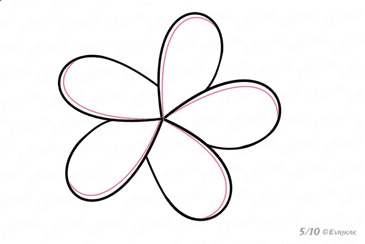 Трафарет ромашки для раскрашивания