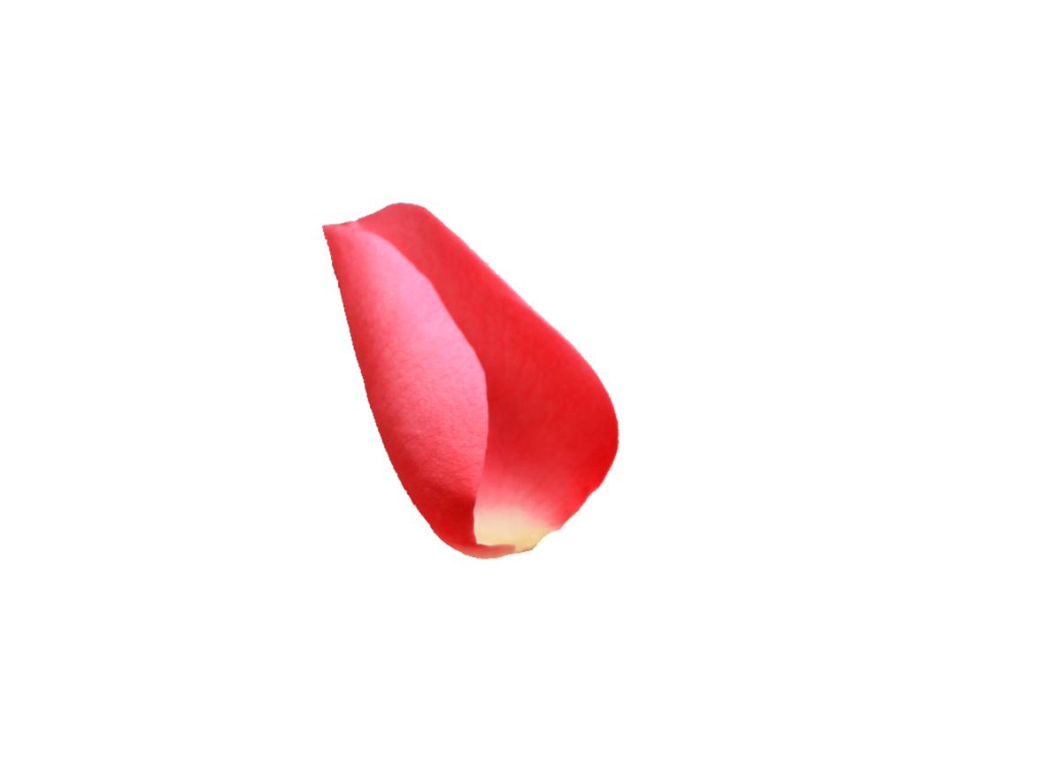 Трафарет "цветы"