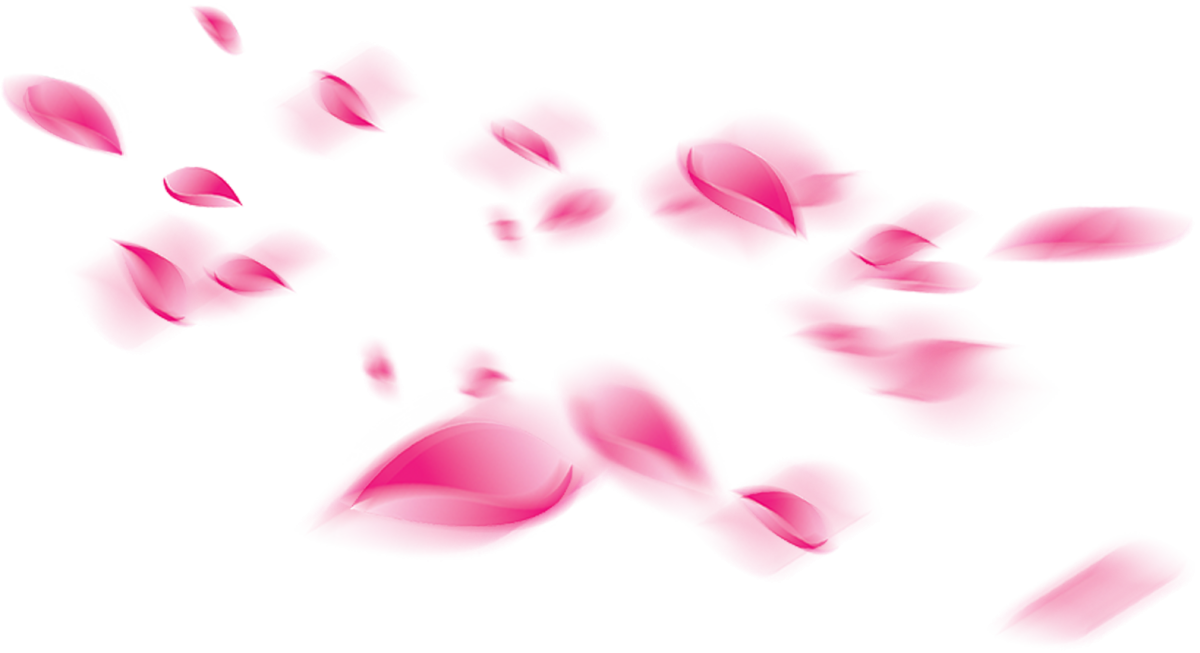 Лепестки цветов цветные