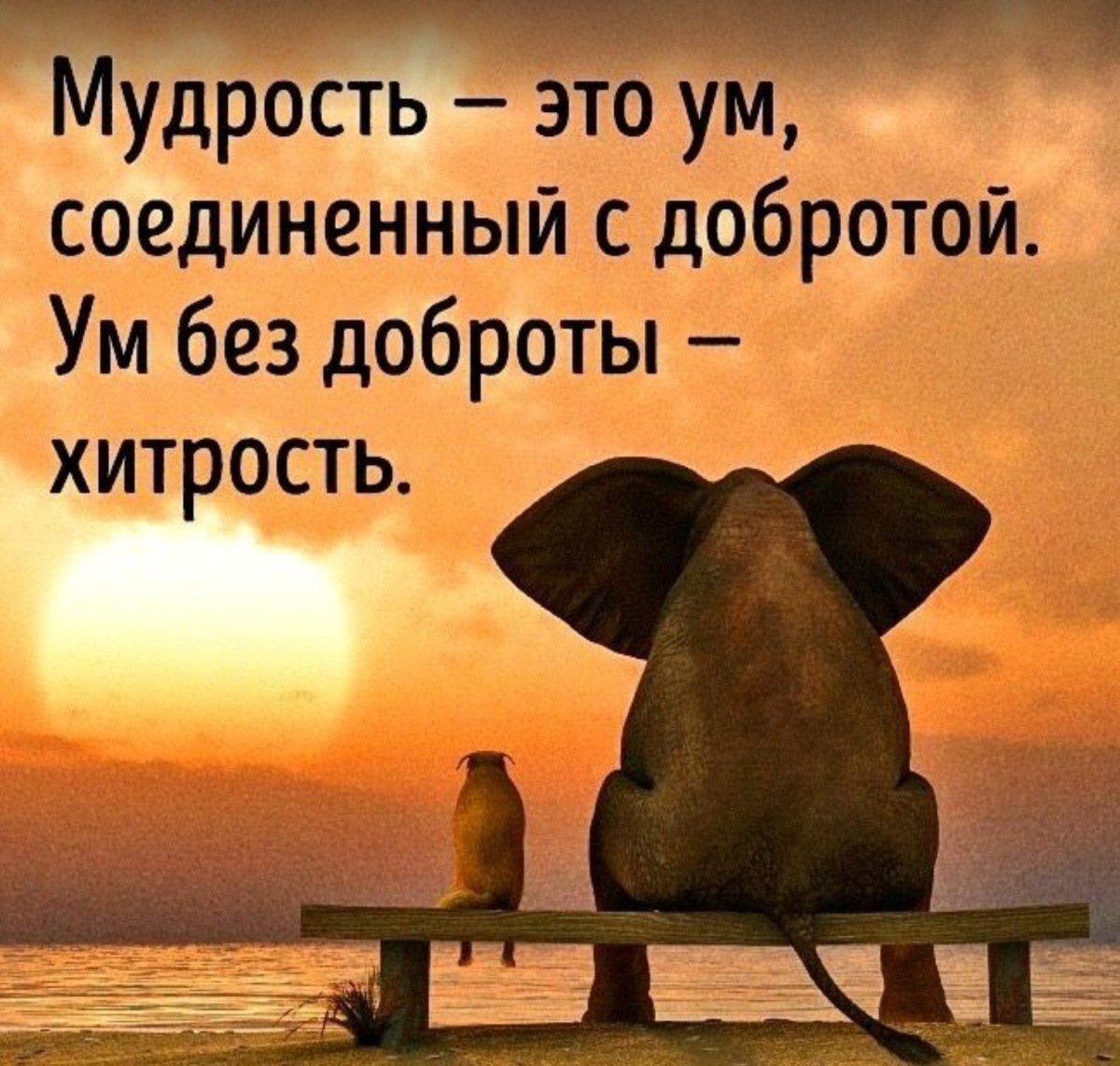 Павел Кульша иллюстратор