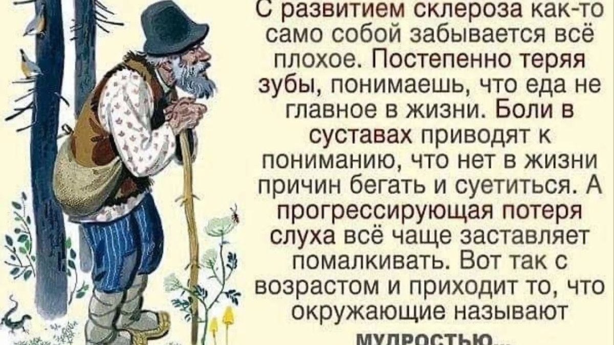 Афоризмы о старости и мудрости