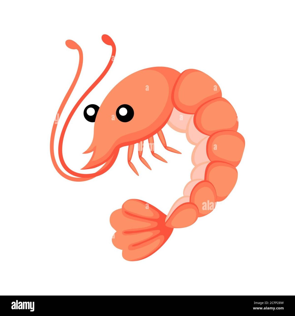 Креветка Живая сбоку