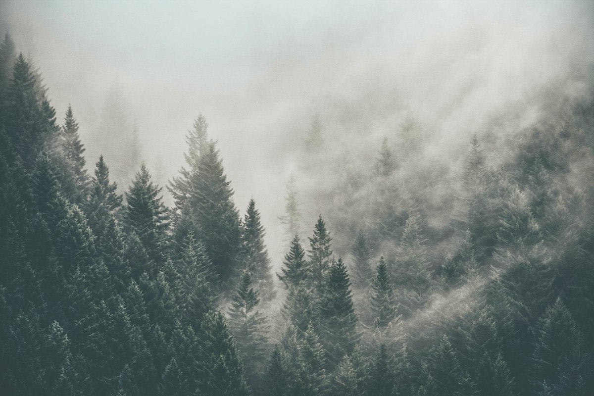 Форкс Сумерки Эстетика