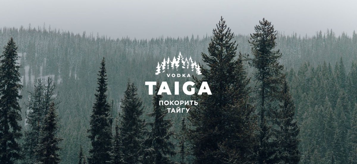 Зимний лес с высоты птичьего полета