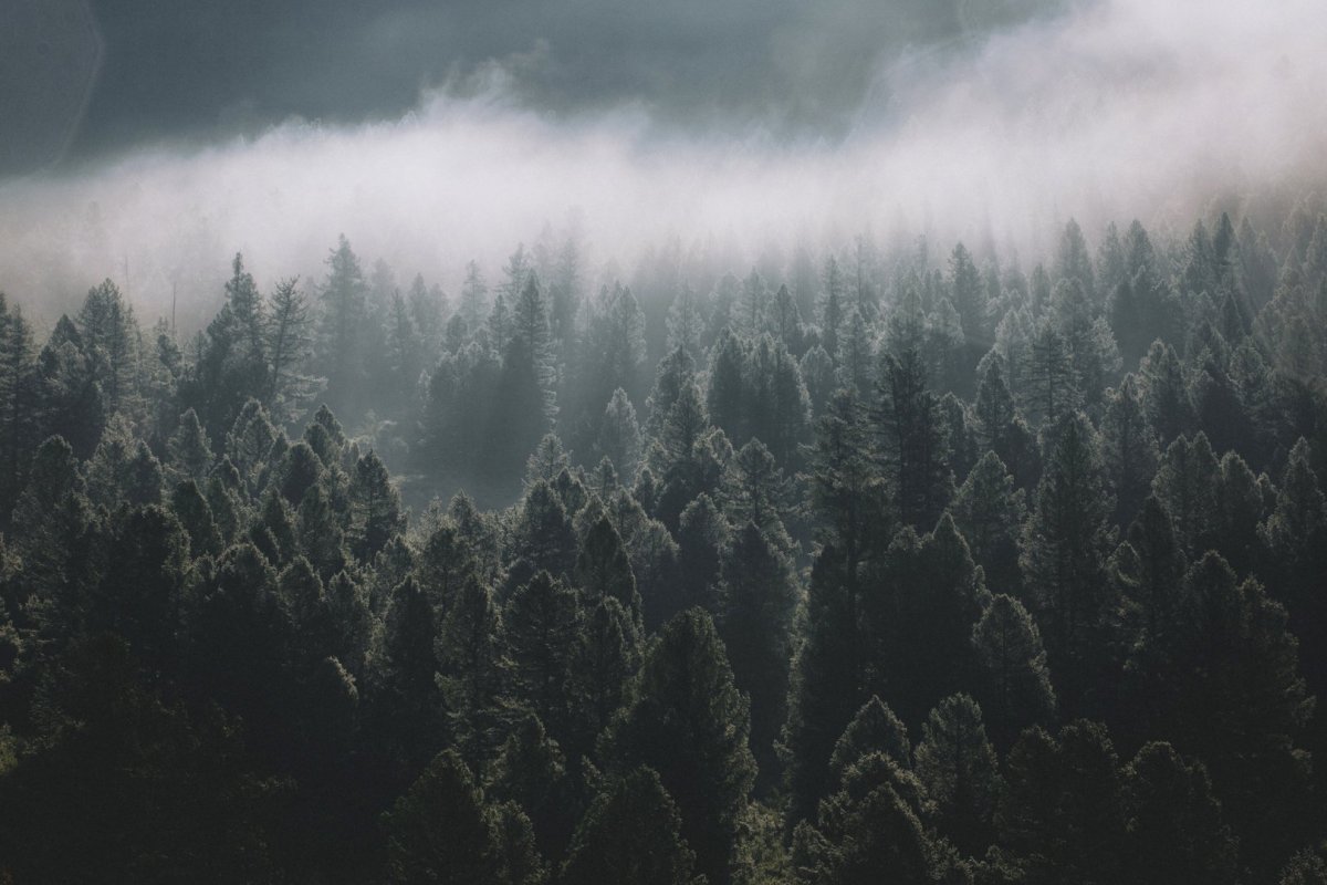 Осеннее путешествие