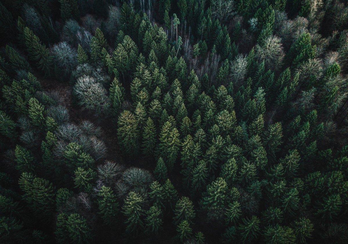 Уединение с природой