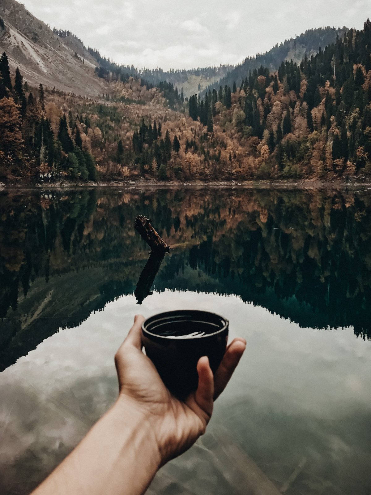 Пейзаж горы лес