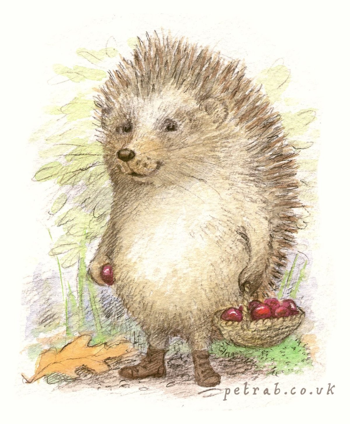 Милый Ежик иллюстрация