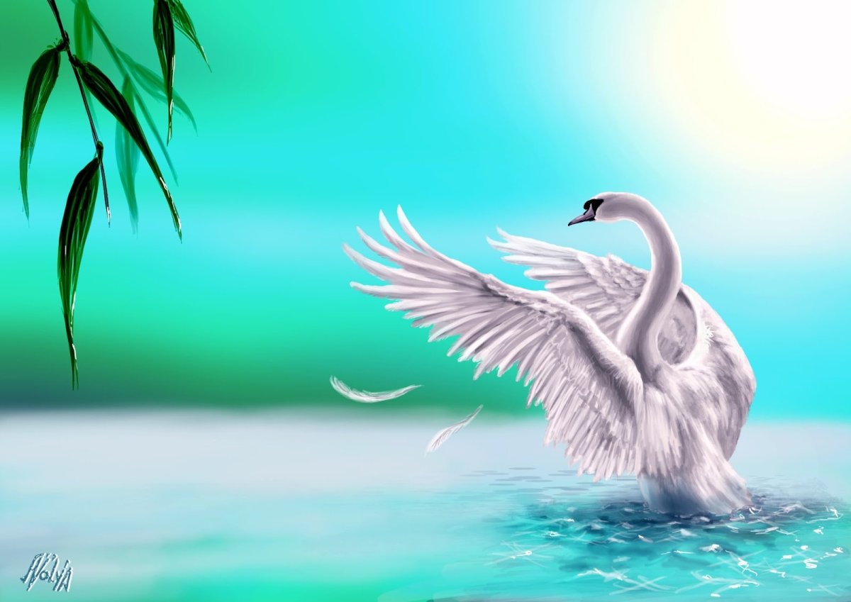 Лебедь рисунок