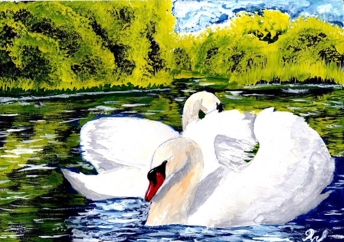 Лебедь рисунок